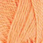 7242 Skør cantaloupe