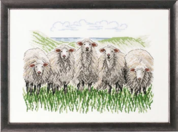 Broderikit Får på marken R5344 41 x 29 cm