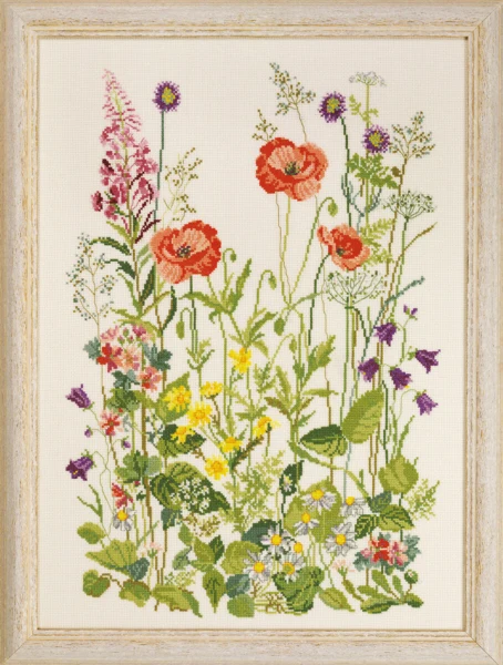Broderikit Valmuer aida 33 x 45 cm R5409 #