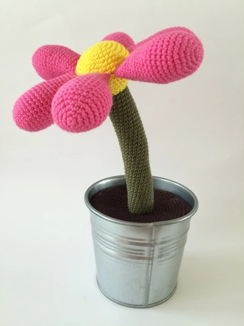 Blomst i zinkspand