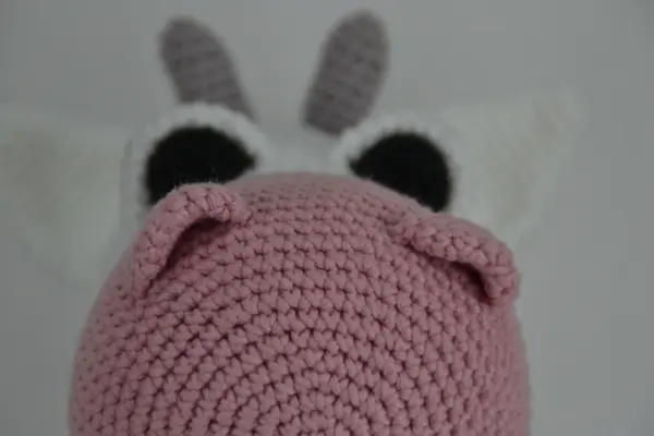 Ponyen Molly og Koen Daisy