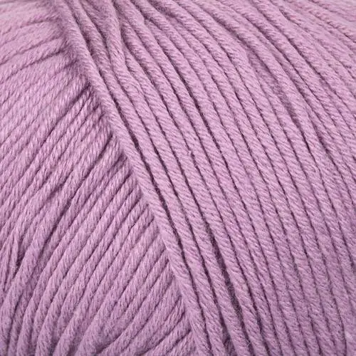 Mayflower Alliance 013 Lavendel