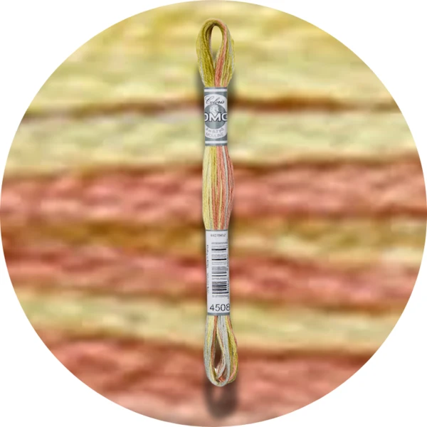 DMC Mouliné Coloris Broderigarn 4508
