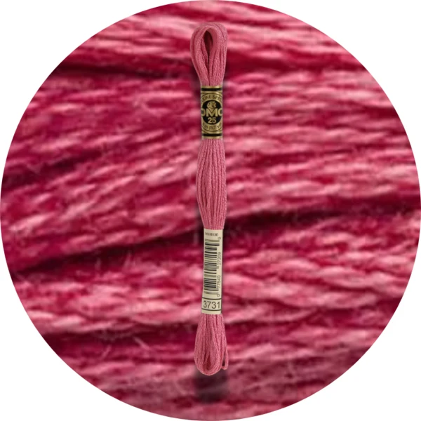 DMC Mouliné Spécial 25 Broderigarn 3731