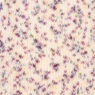 DROPS Fabel Print 924 Confetti cake