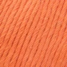 YAC Epic 8/8 018 Bronze