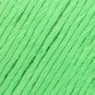 YAC Epic 8/8 085 Pesto