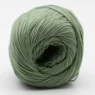 BC Garn Alba GOTS 46 Bregne grøn