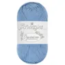 Scheepjes Organicon 254 Steel Blue