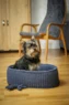 92182 HUNDEKURV OG KØDBEN