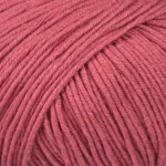Mayflower Alliance 016 Rosa