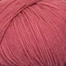 Mayflower Alliance Fine 016 Rosa