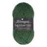 Scheepjes Truly Scrumptious 303 Green Velvet Cake