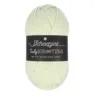 Scheepjes Truly Scrumptious 317 Honeydew Melon Sorbet