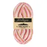 Scheepjes Arcadia 1002 Wildfern (Jacquard)