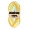 Scheepjes Arcadia 915 Tropical (Striped)