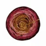 Malabrigo Sock Metamorphosis → 314 Corn Snake