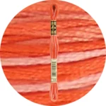 DMC Mouliné Spécial 25 Broderigarn, Farveskiftende 0106