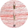 DMC Mouliné Spécial 25 Broderigarn 0818