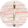 DMC Mouliné Spécial 25 Broderigarn 0819