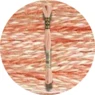 DMC Mouliné Spécial 25 Broderigarn 0754
