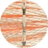 DMC Mouliné Spécial 25 Broderigarn 0951