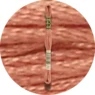 DMC Mouliné Spécial 25 Broderigarn 0021