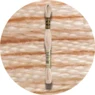 DMC Mouliné Spécial 25 Broderigarn 3774