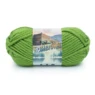 Lion Brand Hometown 135-172D Oklahoma City Green