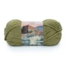 Lion Brand Hometown 135-179D Lakeland Olive