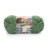 Lion Brand Hometown 135-241G Everglades