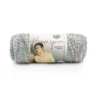 Lion Brand Homespun 790-225D Beachside Stripes