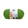 Lion Brand Vanna's Choice 860-172C Kelly Green