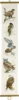 Broderikit Rovfugle B5159/16 16 x 90 cm