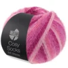 Lana Grossa Cosy Socks Soft Stripes