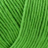 Onion Organic Cotton