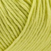 Onion Organic Cotton