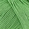 Onion Organic Cotton