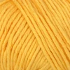Onion Organic Cotton