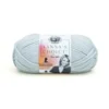 Lion Brand Vanna's Choice
